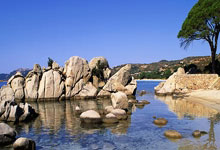 华体会APP下载-哈兰德一锤定音，摩纳哥火力全开压制尼斯登顶法甲