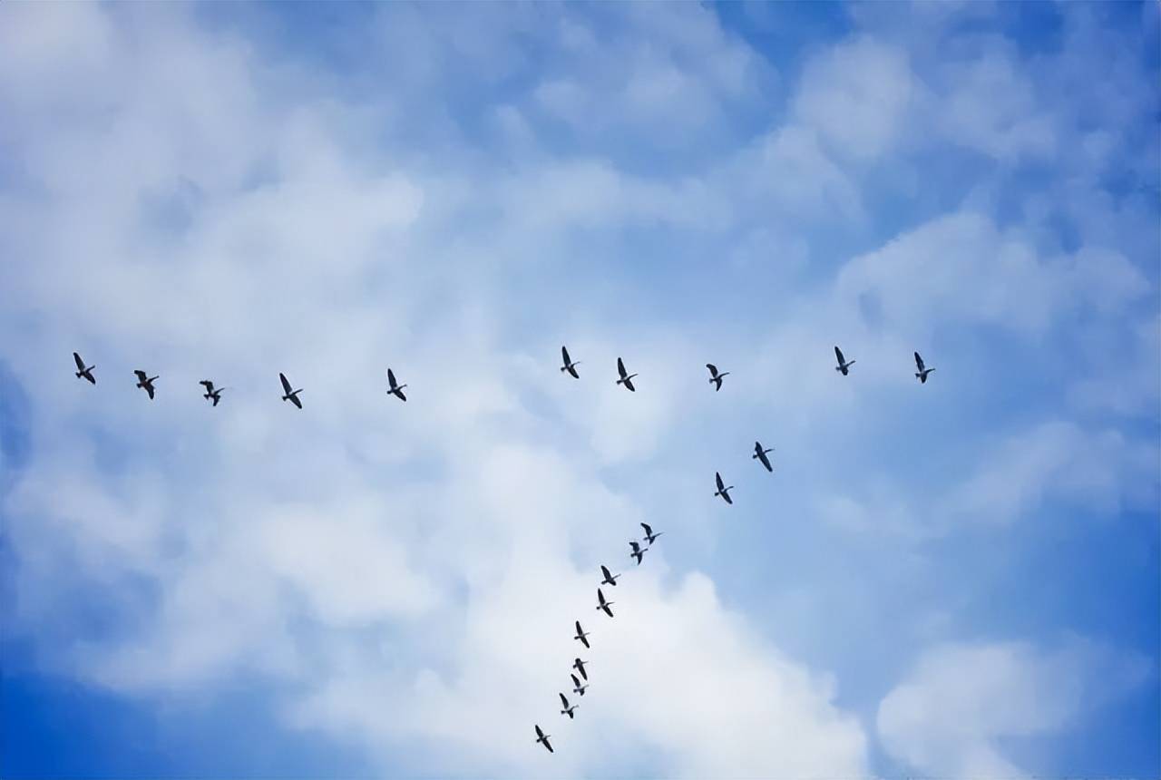 比赛节奏快速刹那间不可捉摸，反转几无痕迹的简单介绍